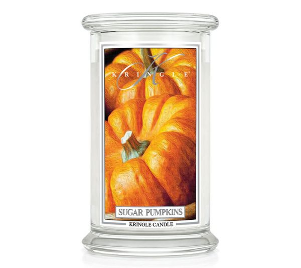 Sugar Pumpkins 623g Kerze von Kringle Candle
