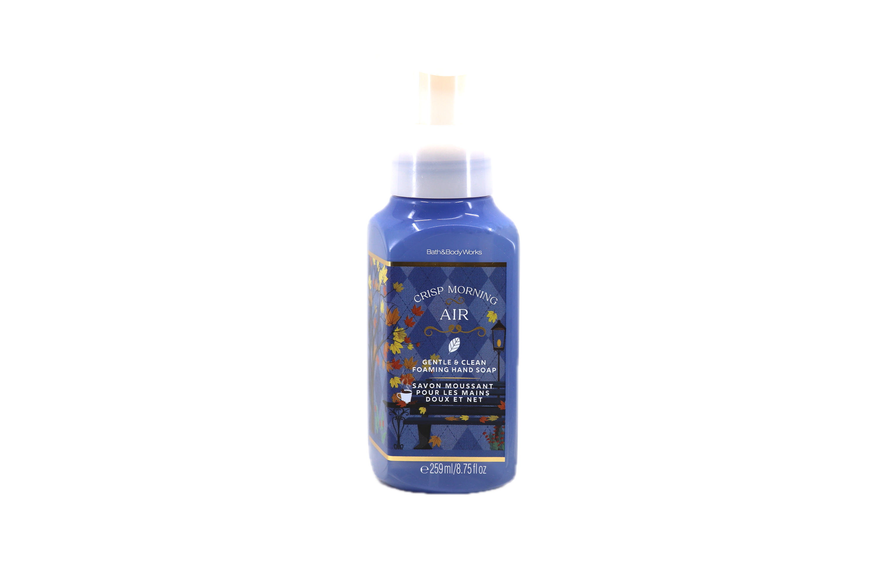 Bath & Body Works Crisp Morning Air Gentle Foaming Hand Soap